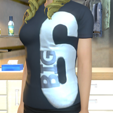 Big 6 Graphic Tee Shirt - Female