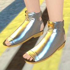 Silver Shoes - Female