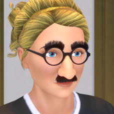 Disguise Glasses - Female