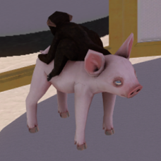 Baby Monkey Riding a Pig