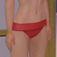 Bikini Bottoms - Female