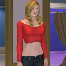 Long Sleeve Crop Top - Female