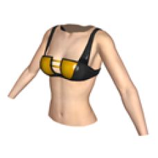 Golden Dancer Top
