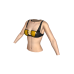 Golden Dancer Top