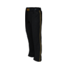 Gold Accented Dress Pants