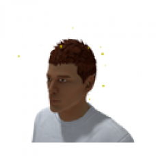 Fireflies (Male)