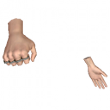 Golden Knuckles