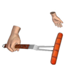 Hot Dog Fork - Female