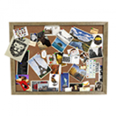 921 Acacia Drive - Poster Board