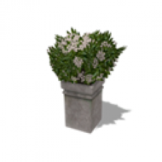 Acorn Meadows Apartment - Flowers - White
