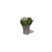Acorn Meadows Apartment - Flowers - White