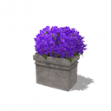 Acorn Meadows Apartment - Flowers - Purple