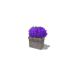 Acorn Meadows Apartment - Flowers - Purple