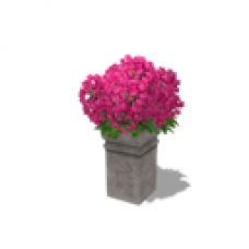 Acorn Meadows Apartment - Flowers - Pink