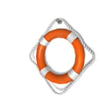 Park Life Ring