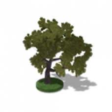 Park Tree Reward