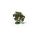 Park Tree Reward