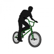 Park BMX Bicycle