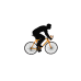 Park Road Racer Bicycle
