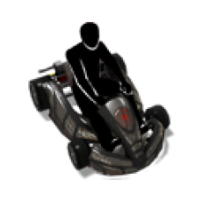Silver Minikart