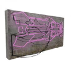 Sodium Neon Racer Wall Art (Pink)