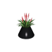 The Boutique Apartment: Small Plant