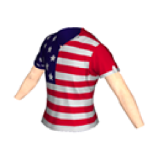 4th of July 2010 T-shirt