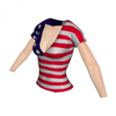 4th of July 2010 T-shirt