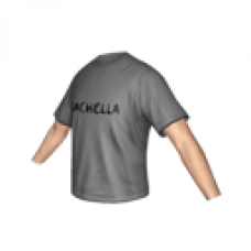 Coachella T-Shirt (GRAY)