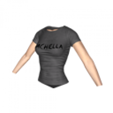Coachella T-Shirt (GRAY)