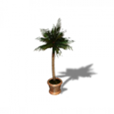 Crystal Seashores Palm Tree Reward