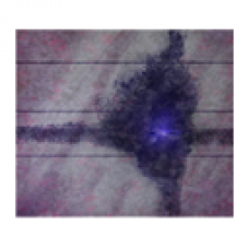 Nucleus in Winter