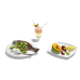 Dream Adventure - Tropical Fish Meal