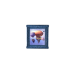 1000XP Aurora Picture