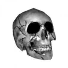 2012 Silver Mayan Skull