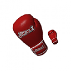 Sport Champions 2 - Boxing Gloves (Female)