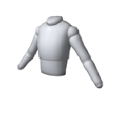 Echochrome Torso