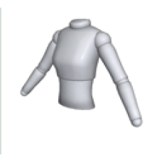 Echochrome Torso