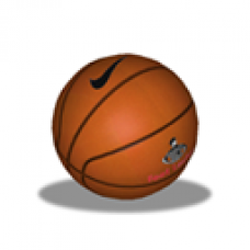 Nike Footlocker Basketball