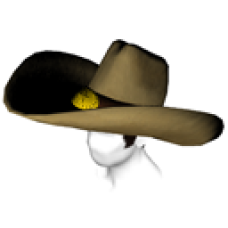 Giant Cowboy Hat