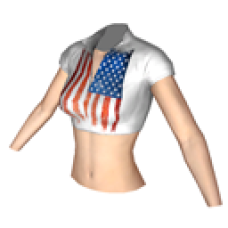 4th of July 2012 Vest (Female)