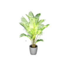 Sparkling Decorative Plant, Butterfly Palm