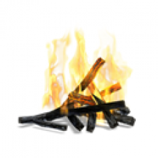 Roaring Bonfire