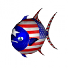 Red White and Bloop