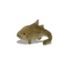 Stuffed Fish (Zebra Shark)