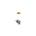 Goldfish (Round Fish)
