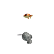 Goldfish (Round Fish)