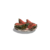 Wilted Watermelon