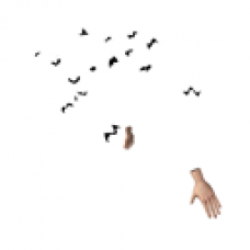 Bat Swarm (Female)