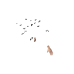 Bat Swarm (Female)